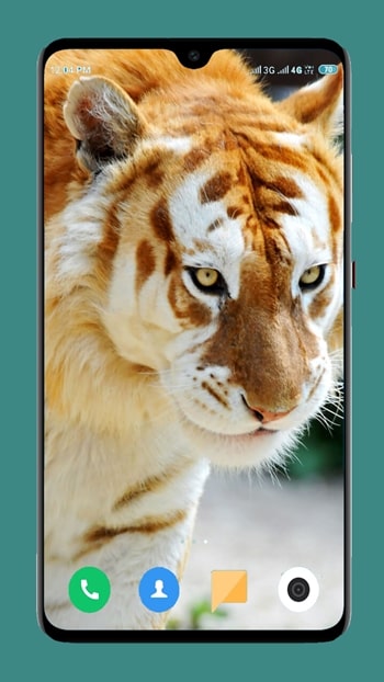 wild animals wallpapers - rare tiger